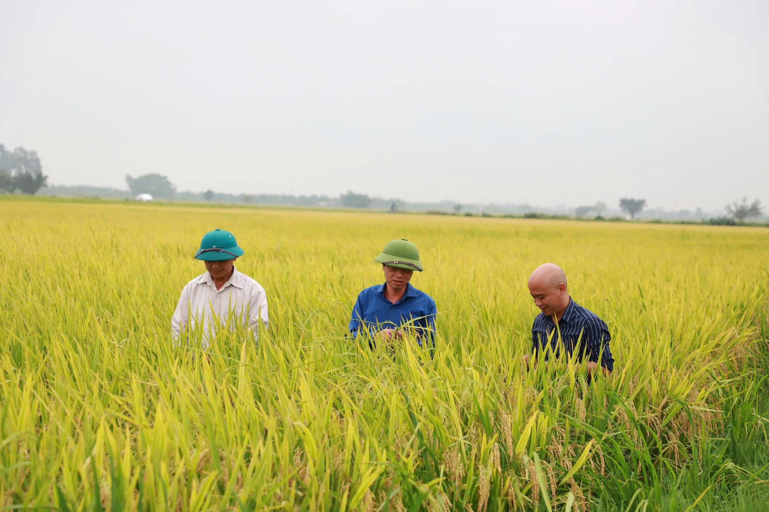 Đồng chí Dương Tuấn Kiệt - Bí thư Đảng ủy, Chủ tịch HĐND xã kiểm tra tình hình sản xuất sau mưa lớn