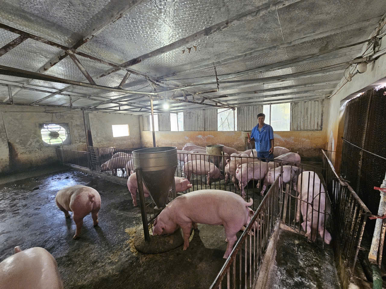 Người dân dân xã Nguyễn Trãi phát triển kinh tế thông qua nguồn vốn tín dụng ưu đãi của NHCSXH Ân Thi