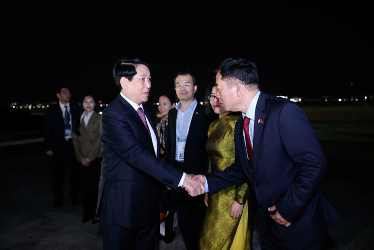 Chủ tịch nước kết thúc tốt đẹp tham dự Tuần lễ cấp cao APEC và làm việc song phương tại Hàn Quốc